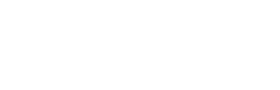 VAULT Hor White